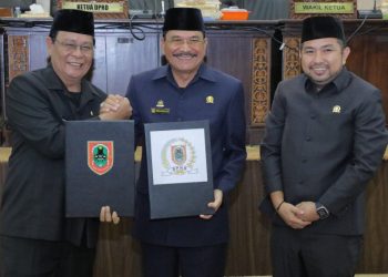 Tok! Dewan Setujui RPJP Kalsel 2025–2045