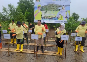 Sinergi Pemprov Kalsel dan Pemkab Tanbu Menjaga Keberlanjutan Lingkungan