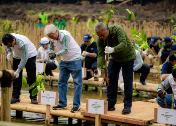 Yamaha Motor Indonesia Upayakan Reduksi Emisi Karbon Melalui CSR Penanaman Mangrove di Berbagai Daerah