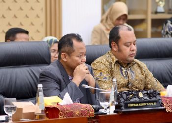 PLN Ajukan Rp3 Triliun PMN 2025 untuk Bangun Kelistrikan Daerah Terpencil