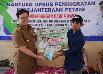 Tingkatkan Kesejahteraan Petani Melalui Bantuan Pengembangan Cabai Rawit