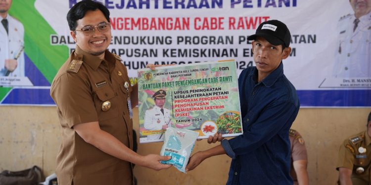 Tingkatkan Kesejahteraan Petani Melalui Bantuan Pengembangan Cabai Rawit