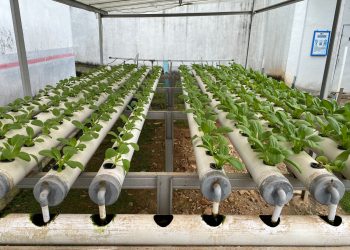 Manfaatkan Lahan di Lapas Menjadi Kawasan Produktif dan Sarana Edukasi