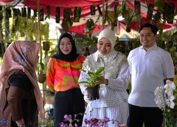 Aulia Buka Festival Anggrek Parisj Van Borneo