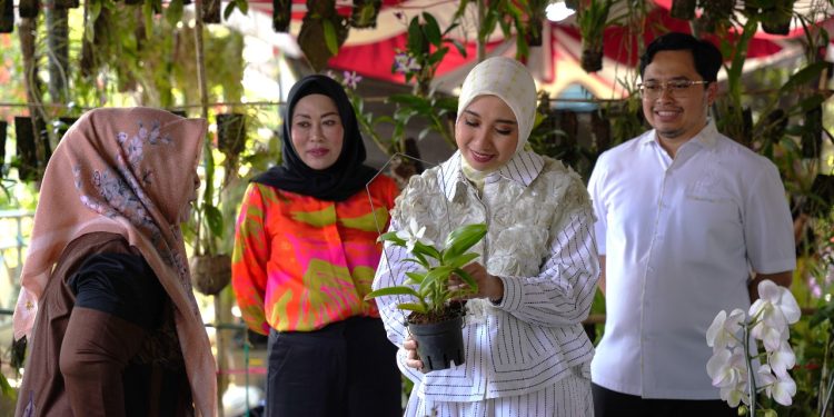 Aulia Buka Festival Anggrek Parisj Van Borneo