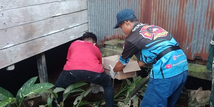 Geger! Bayi Laki-Laki Ditemukan Tak Bernyawa, Lengkap dengan Tali Pusarnya