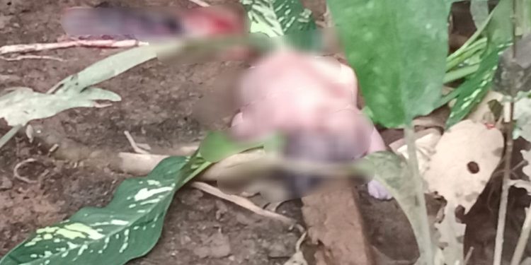 Geger! Bayi Laki-Laki Ditemukan Tak Bernyawa, Lengkap dengan Tali Pusarnya