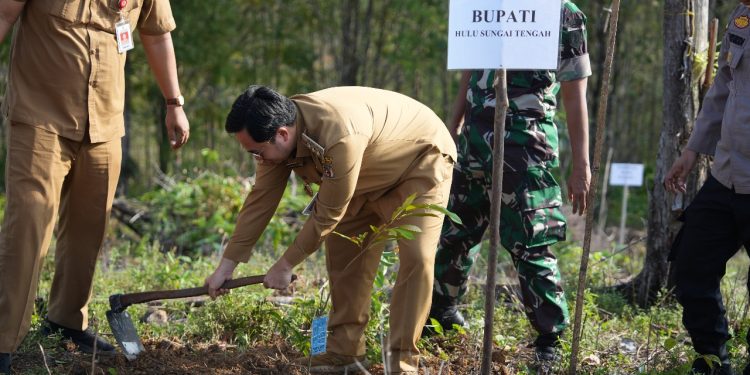 Bupati Aulia Tanam Perdana Pohon Durian di Gunung Titi