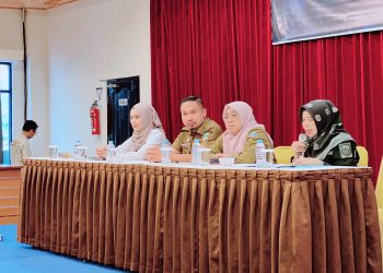 Diskominfo Gelar Sosialisasi dan Validasi Data E-Walidata dalam SIPD