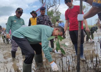 Cegah Abrasi, Ribuan Mangrove dan Cemara Laut Ditanam di Desa Semisir