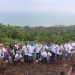 Media Gathering, PT. ITP dan Wartawan Kotabaru Tanam Puluhan Pohon