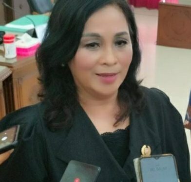 Pemkab Barsel Disarankan Membuat Regulasi dan Payung Hukum Adanya Investasi