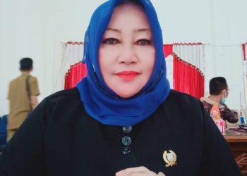 Wakil Rakyat Ini Berharap Penempatan Nakes Merata hingga Pelosok Desa