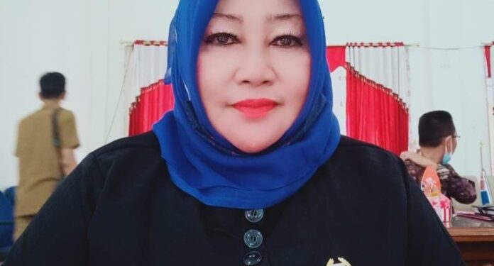 Wakil Rakyat Ini Berharap Penempatan Nakes Merata hingga Pelosok Desa