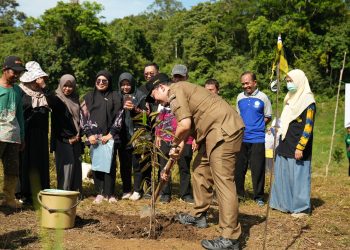 Tanam Pohon Dalam Rangka Kenaikan Pangkat, Bukti Nyata Save Meratus