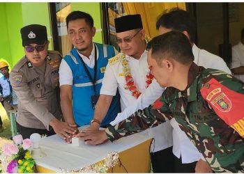 Hore! Warga Kelumpang Utara Bisa Nikmati Listrik PLN 24 Jam