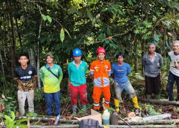 Pastikan Keandalan Listrik Kalteng, PLN Grebek Jalur Bebas Aman di Jaringan Transmisi Muara Teweh