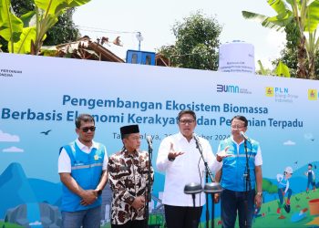 Mengubah Lahan Kritis Jadi Hijau dan Produktif, PLN Kembangkan Ekosistem Biomassa Berbasis Pertanian Terpadu