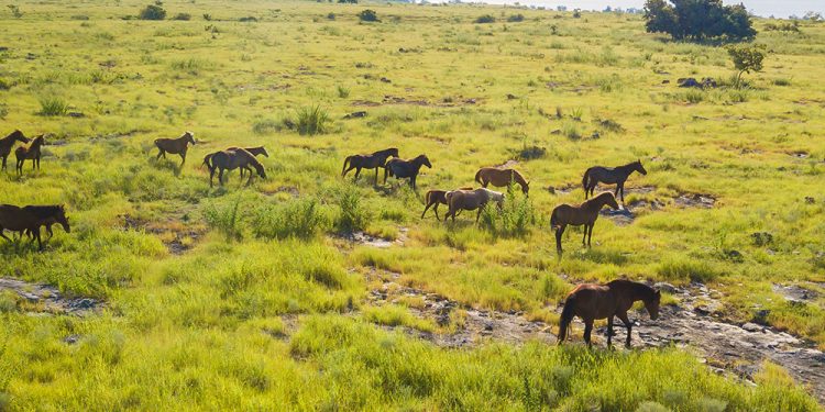 Sumba: Surga Eksotis di Wilayah Timur Indonesia