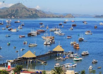 Labuan Bajo, Pintu Gerbang Keindahan Alam dan Keajaiban Satwa di Pulau Flores