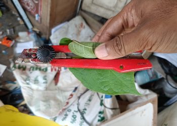 Petugas Kebersihan SMKN 3 Banjarmasin Ditemukan Sekarat, Terdapat Luka Sayat di Leher