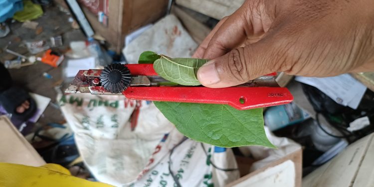 Petugas Kebersihan SMKN 3 Banjarmasin Ditemukan Sekarat, Terdapat Luka Sayat di Leher