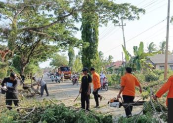 BPBD Bergerak Cepat Tangani Pohon Tumbang yang Ganggu Jalan