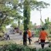 BPBD Bergerak Cepat Tangani Pohon Tumbang yang Ganggu Jalan