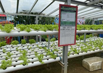 Lapas Kotabaru Genjot Program Pemberdayaan Warga Binaan untuk Mendukung Ketahanan Nasional