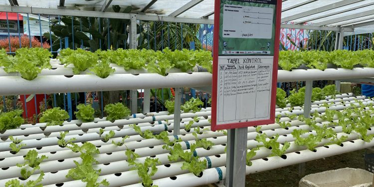 Lapas Kotabaru Genjot Program Pemberdayaan Warga Binaan untuk Mendukung Ketahanan Nasional