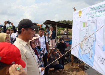 Optimalisasi Lahan dan Cetak Sawah di Kalsel Libatkan Ribuan Generasi Milenial
