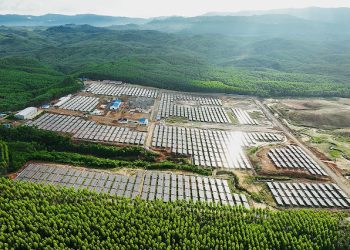 PLN Dorong Kolaborasi Global Perkuat Energi Hijau di Tanah Air