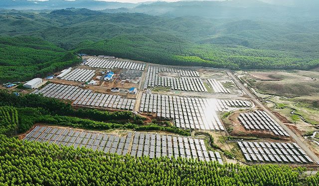 PLN Dorong Kolaborasi Global Perkuat Energi Hijau di Tanah Air