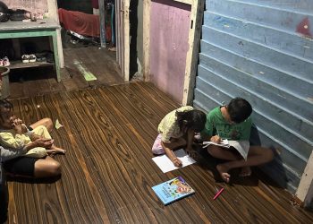 Jelang HUT RI, 13 Desa di Kabupaten Sintang Kini Terang dengan Listrik PLN