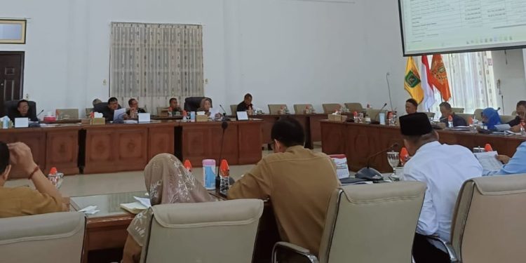 DPRD Barito Selatan Genjot Pembahasan KUA PPAS 2025