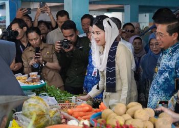 Kunjungi Pasar Pandu Banjarmasin, Wamen Perdagangan Tekankan Pentingnya Menjaga Stabilitas Harga