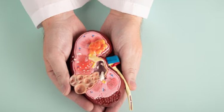 Apakah Mengonsumsi Obat Darah Tinggi Dapat Merusak Ginjal? Simak Faktanya