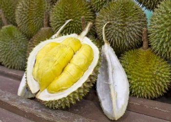Tak Hanya Lezat, Ini Manfaat Durian bagi Kesehatan