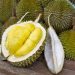 Tak Hanya Lezat, Ini Manfaat Durian bagi Kesehatan