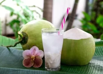 Bolehkah Pengidap Diabetes Minum Air Kelapa Muda?