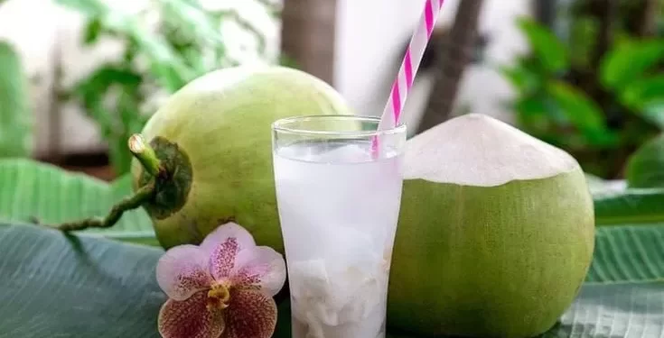 Bolehkah Pengidap Diabetes Minum Air Kelapa Muda?