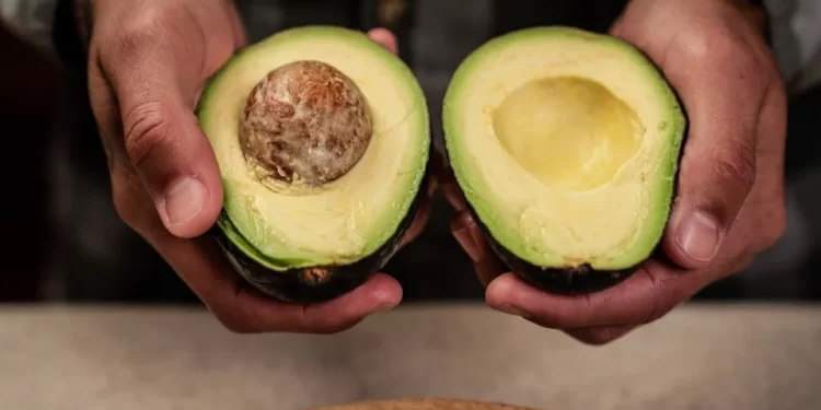 Ini 8 Makanan Penurun Kolesterol dan Darah Tinggi