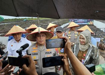 Dukung Swasembada Pangan, Kalsel Tanam Jagung di Lahan 120 Hektare