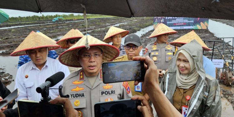 Dukung Swasembada Pangan, Kalsel Tanam Jagung di Lahan 120 Hektare
