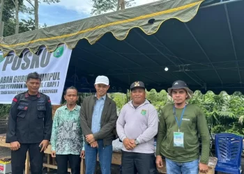 Sekda Tanbu Tinjau Kesiapan Rest Area untuk Jemaah Haul Guru Sekumpul