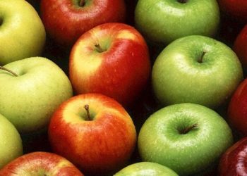 5 Buah Pembersih Usus Kotor, Wajib jadi Asupan Harian