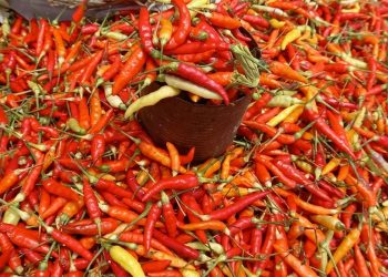 Makin ‘Pedas’, Harga Cabai Rawit Merah Setara Daging Sapi