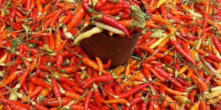 Makin ‘Pedas’, Harga Cabai Rawit Merah Setara Daging Sapi