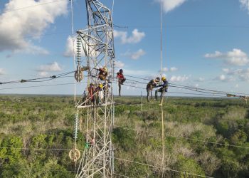 Tingkatkan Keandalan Listrik Kalimantan, PLN Remajakan Jaringan Listrik Sepanjang 256,16 Kms di Tahun 2024