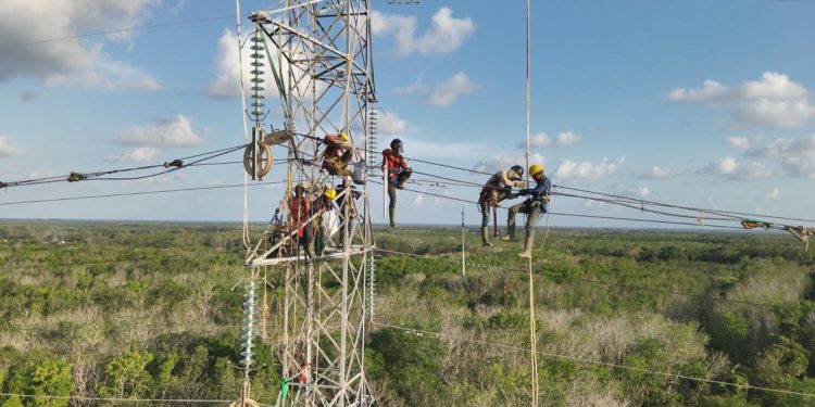 Tingkatkan Keandalan Listrik Kalimantan, PLN Remajakan Jaringan Listrik Sepanjang 256,16 Kms di Tahun 2024
